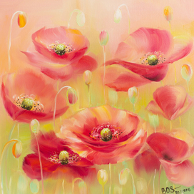 Розовые маки