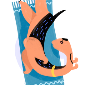 Спящий вельш-терьер