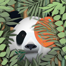 Панда