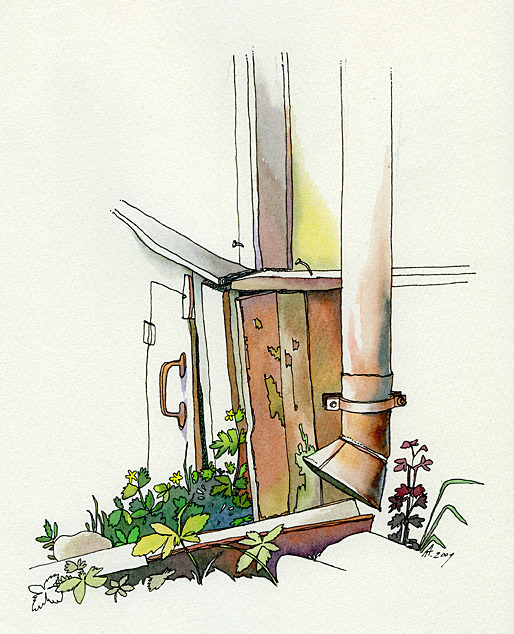 дачные зарисовки