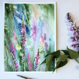 полевые цветы