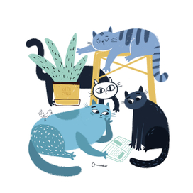 Berrywater fest 2018