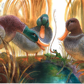 Лягушка  и утки.