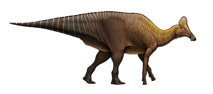 Amurosaurus