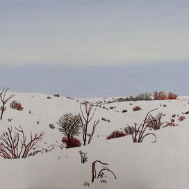 зима в степи