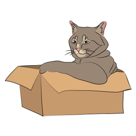 кот в коробке