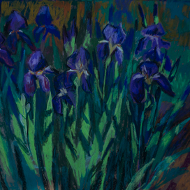 ирисы
