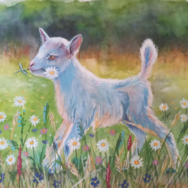 Козленок в ромашках