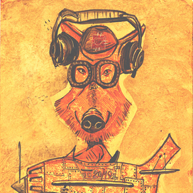 169-й взлет "желтого кабана"