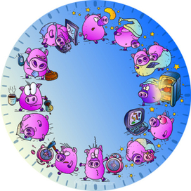 Часы - Ночные свиньи