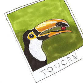 Toucan