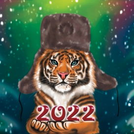 Тигр. 2022 год.