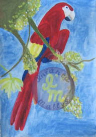 Взлетающий попугай