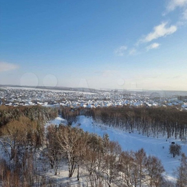 Казань Ноксинский Лес Зимой
