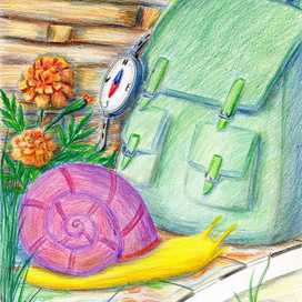 Улитка-путешественница