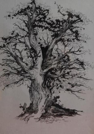 ИЗ СЕРИИ "ДЕРЕВЬЯ"