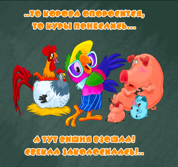 попугай Кеша