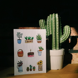 Домашняя открытка