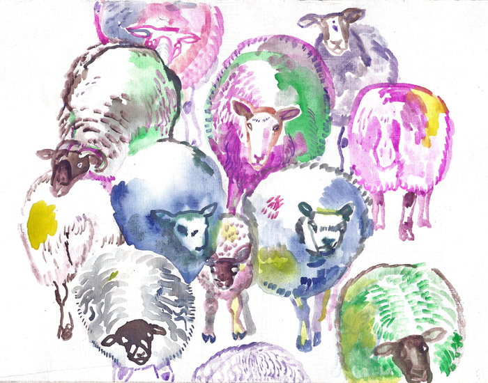 SHEEP MULTICOLOUR