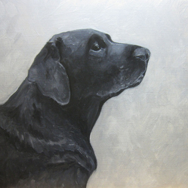 Верный дружочек