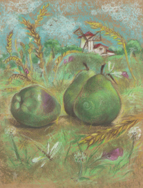 Сельский вид.