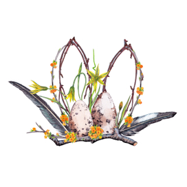 Awakening nature Spring composition