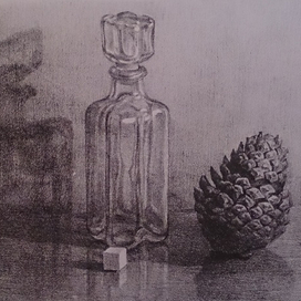 натюрморт с шишкой