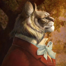 Кот-провидец