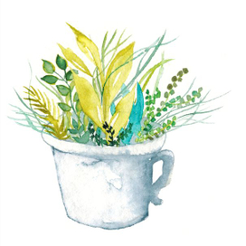 Чашка с зеленью