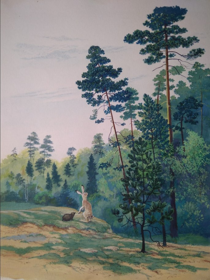 Илл. к рассказам и сказкам о природе В.Зотова (2)