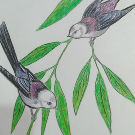 Птички на ветке