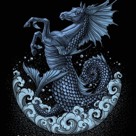 Гиппокампус — морской конёк