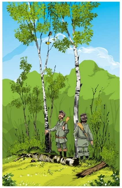 "Этажи леса"