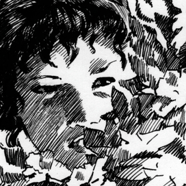 Розы Шотландии