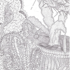 Кактусовые