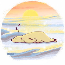 Белый медведь 