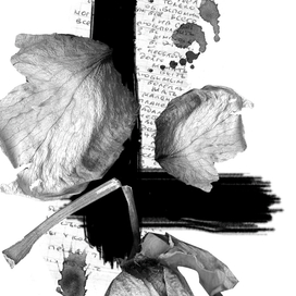 иллюстрации к стихам С.Сутулова-Катеринича