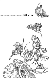 шмутцтитул 4