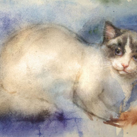 Насторожилась...