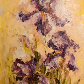 Мои любимые Ирисы