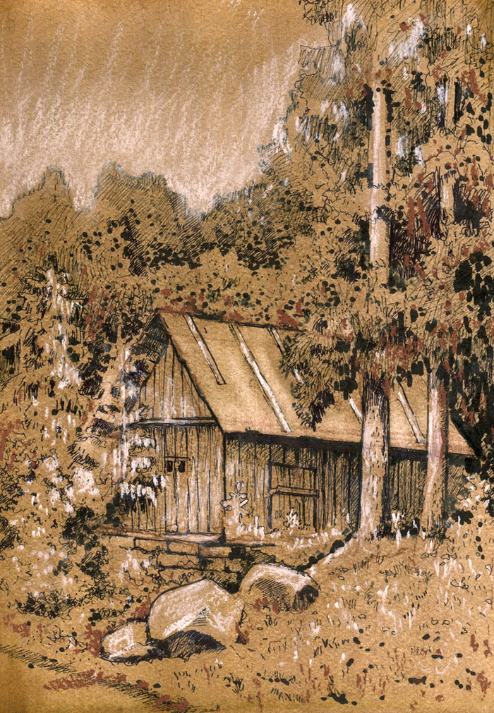 Здесь леший бродит