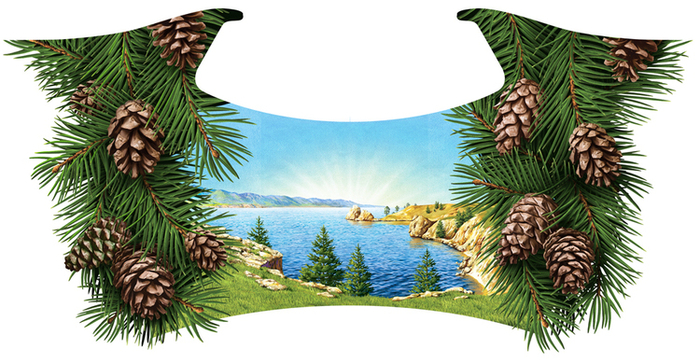 Иллюстрация для лимонада ТМ "Напитки из Черноголовки". Байкал.