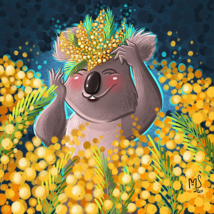 Коала в мимозе