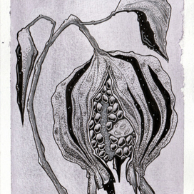 Запретный плод 5