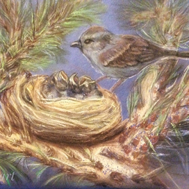 Воробьиная семейка