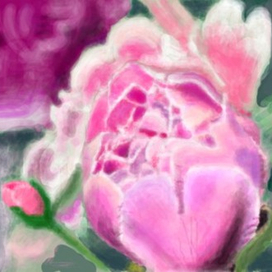 Нежный пион