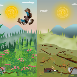 Гибель тайги