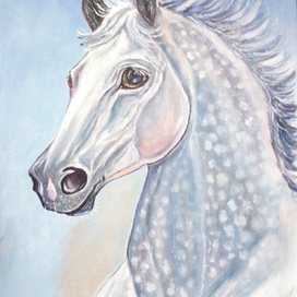 Ветер в гриве.