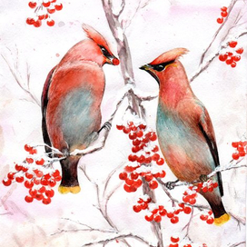 Свиристели