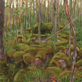 Осинник, сумерки